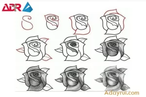 Cách vẽ hoa hồng đơn giản chỉ với vài nét bút