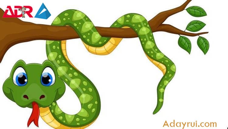 vẽ con rắn đơn giản và hết sức đáng yêu - ADAYRUI