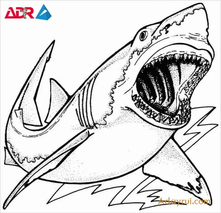 Vai-net-ve-sinh-vat-bien-hung-manh-va-loi-ich-khi-hoc-ve-chung