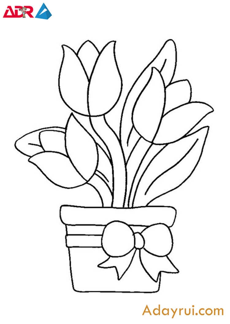 Ve-mot-binh-hoa-tulip-voi-vai-net