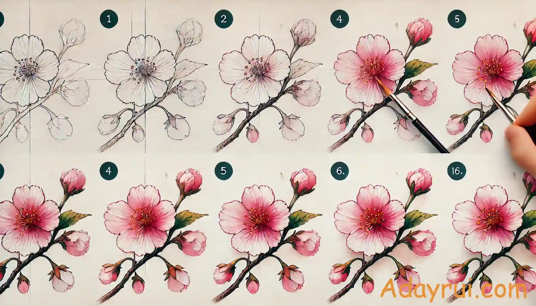 Tổng Hợp Các Công Thức Vẽ Hoa Anh Đào Đơn Giản 3 Tranh mẫu các bước thực hiện vẽ hoa anh đào bằng màu nước