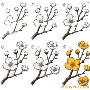 Tranh mẫu hướng dẫn vẽ cành mai đẹp cho bé