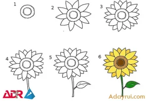 Mẹo vẽ hoa hướng dương dễ nhất tại nhà