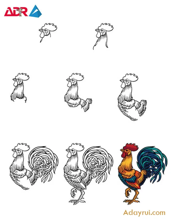 ve con ga don gian 8 1