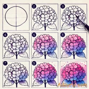 Hướng dẫn từng bước cách vẽ hoa cẩm tú cầu đơn giản bằng màu nước.