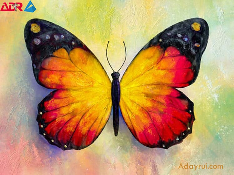 Tranh Tô Màu Con Bướm Cực Đẹp Với Nhiều Phong Cách Vẽ Khác Nhau 3 Nhung-loi-ich-khi-cho-tre-to-mau-tranh-ve-buom-mang-lai