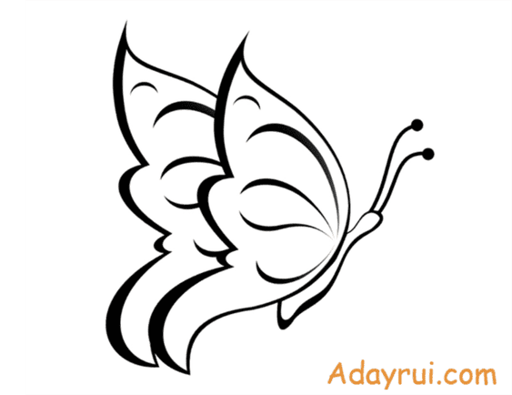 Tranh to mau con buom dep Adayrui 1 1