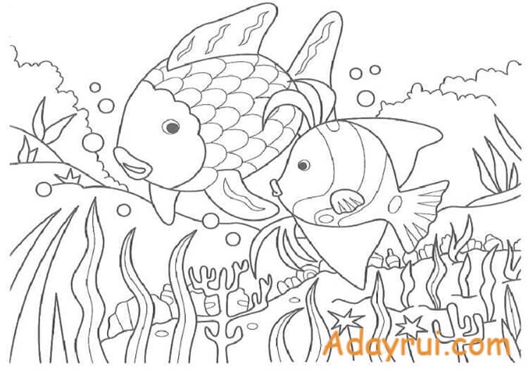 Tranh to mau con ca adayrui 24 1