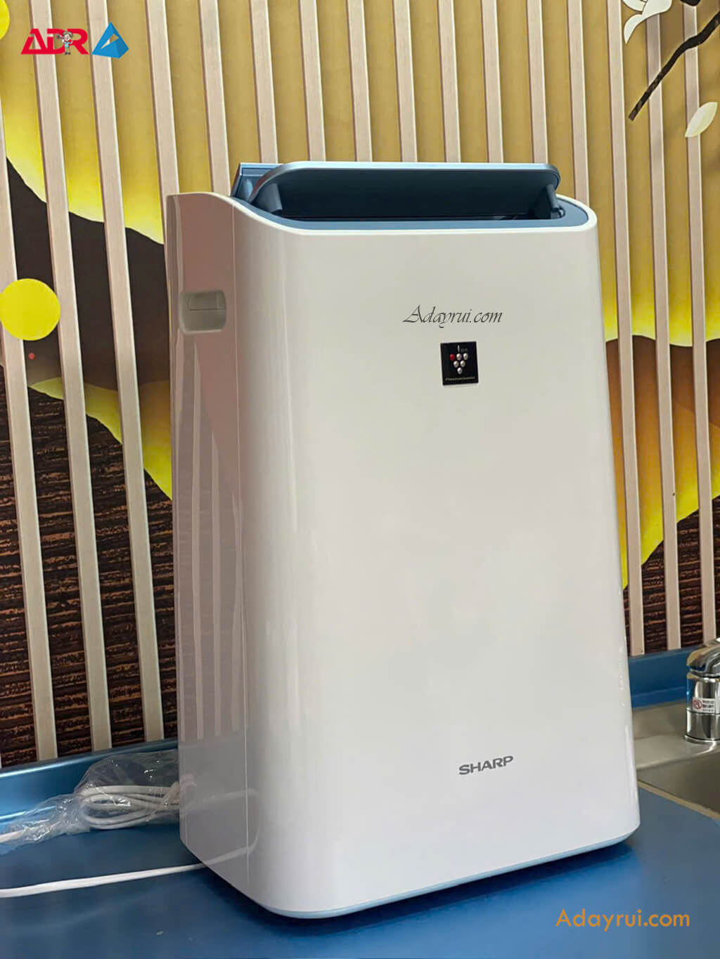 Máy Hút Ẩm Sharp - Có Thực Sự Đáng Mua? 4 Các dòng sản phẩm hút ẩm của Sharp nổi bật