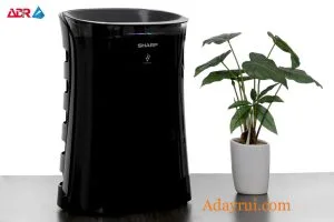 Máy Lọc Không Khí Sharp