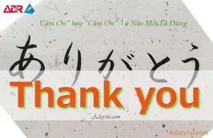 Cam on va Cam on – Ban dang dung tu nao 1