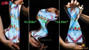 Co Giãn Hay Co Dãn – Đâu Là Từ Đúng