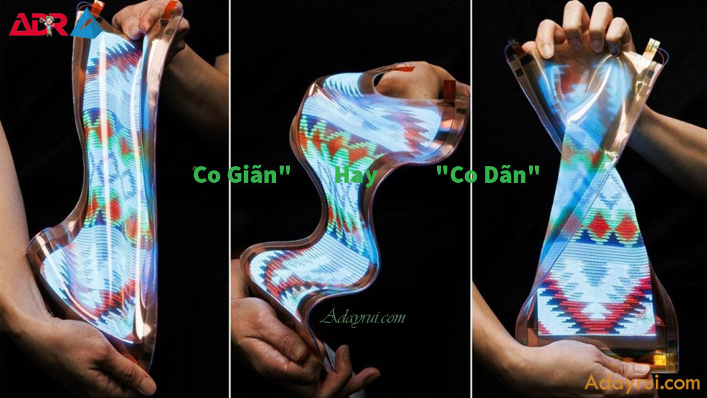 Co Giãn Hay Co Dãn – Đâu Là Từ Đúng