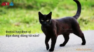 Đen sì hay Đen xì – Từ nào đúng chính tả