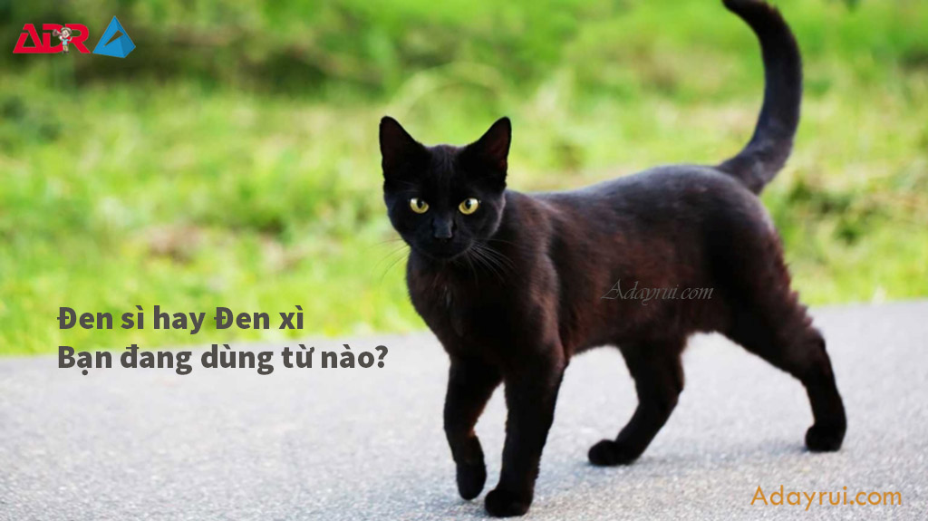 Đen sì hay Đen xì – Từ nào đúng chính tả