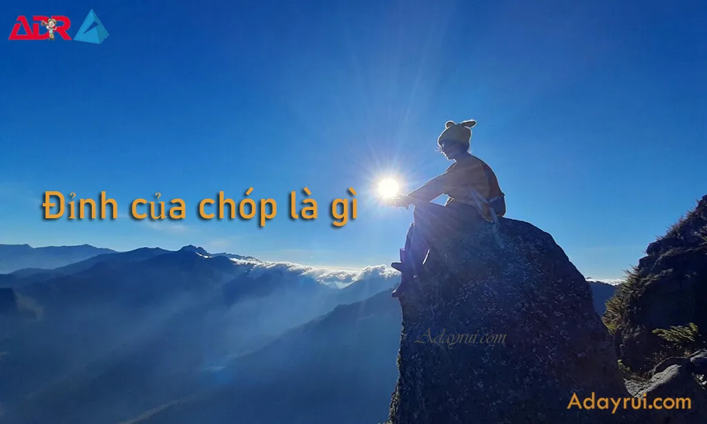Đỉnh của chóp là gì