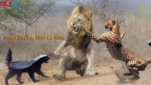 Lý do cà khịa trở nên phổ biến và cách dùng đúng lúc đúng chỗ