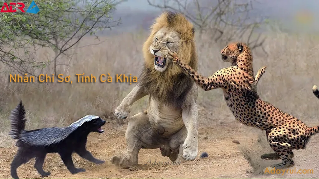 Lý do cà khịa trở nên phổ biến và cách dùng đúng lúc đúng chỗ