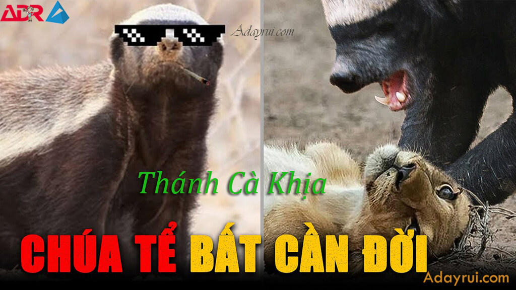 Tổng quan về từ Cà Khịa