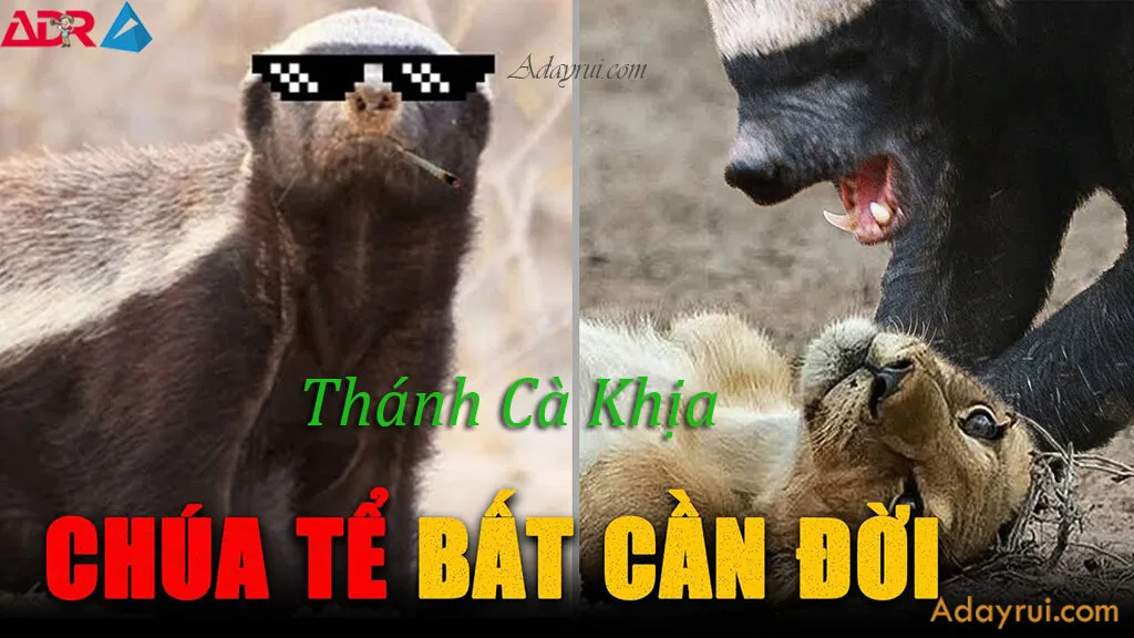 Tổng quan về từ Cà Khịa