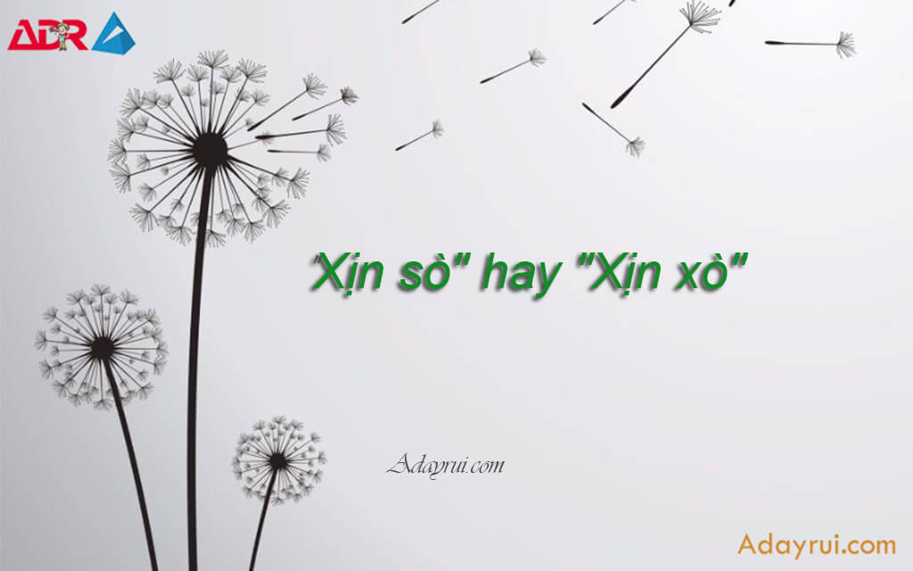 Xịn sò hay Xịn xò Đâu là cách dùng đúng trong tiếng Việt