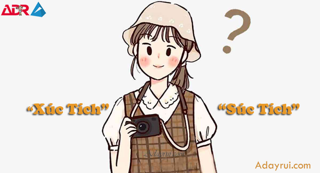 “Xúc Tích” Và “Súc Tích” – Sự Nhầm Lẫn Thường Gặp