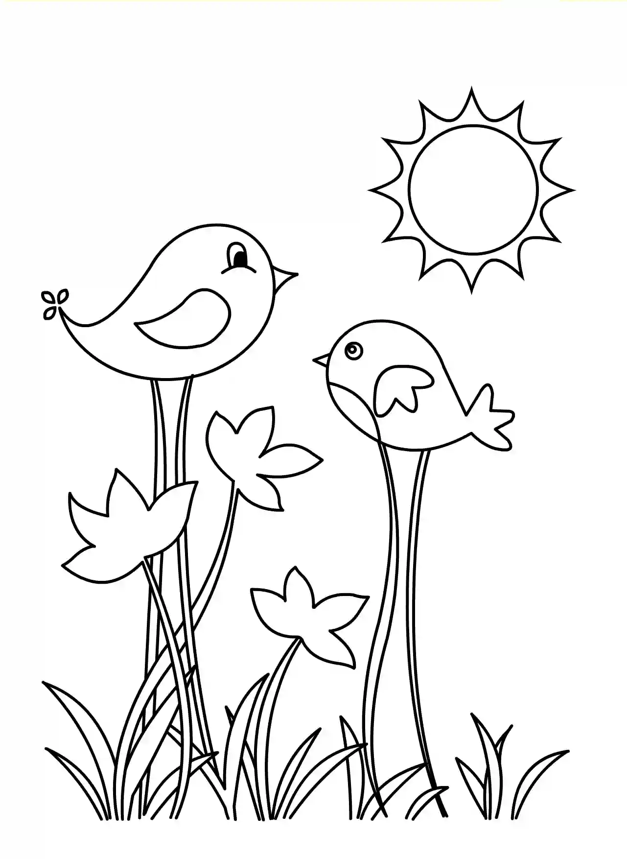 tranh to mau con chim dep cua Adayrui 1 1