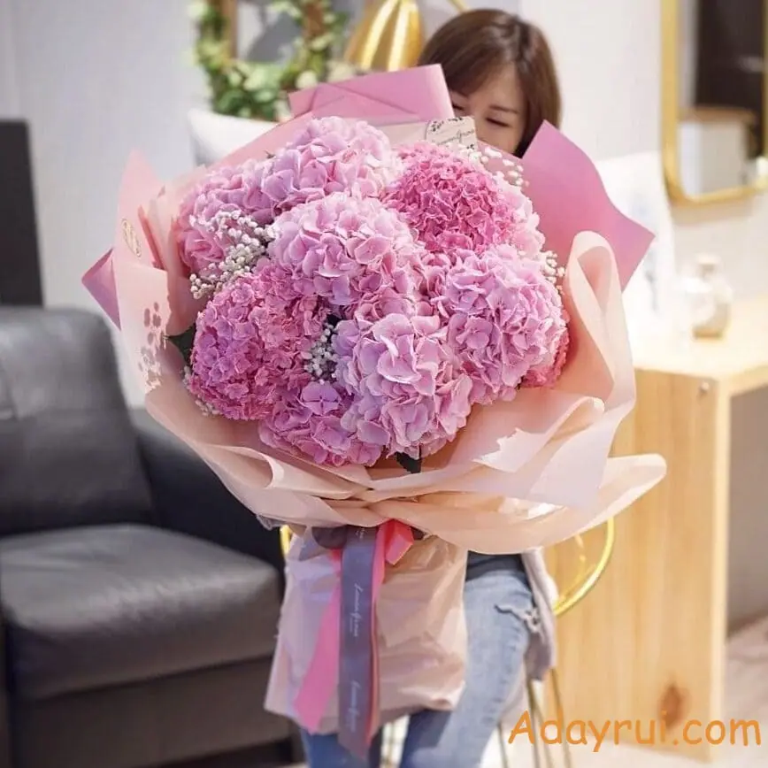 Bó hoa cẩm tú cầu màu hồng nổi bật, được gói tinh tế dành tặng người thương.