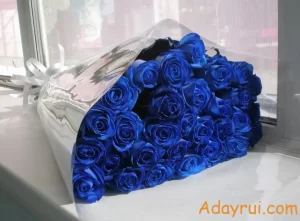 Ý Nghĩa Hoa Hồng Xanh – Biểu Tượng Của Những Điều Vĩnh Cửu Và Bí Ẩn 48 Bó hoa hồng xanh rực rỡ đặt bên cửa sổ – biểu tượng của tình yêu vĩnh cửu.