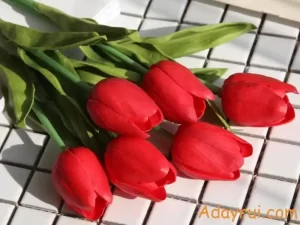 Ý Nghĩa Hoa Tulip Đỏ: Biểu Tượng Của Tình Yêu Nồng Nàn 58 Bó hoa tulip đỏ rực rỡ trên nền gạch trắng – biểu tượng của tình yêu mãnh liệt.