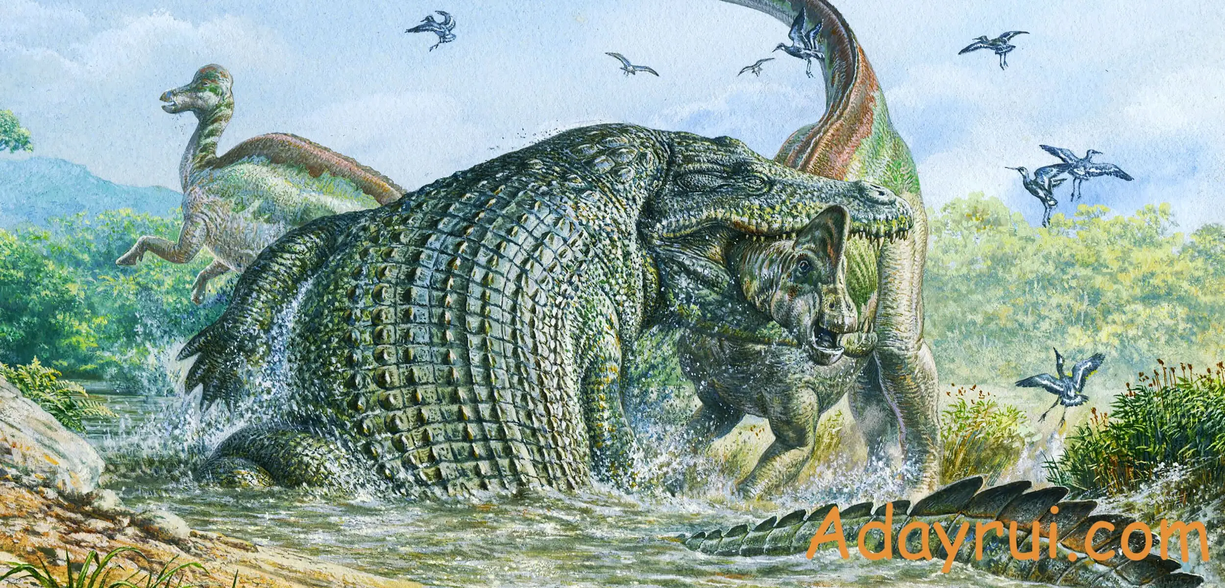 Deinosuchus có kich thước thực sự khổng lồ