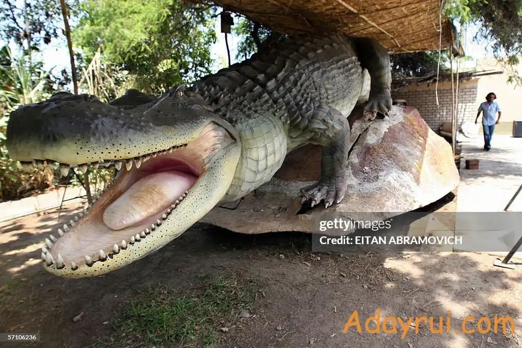 Tiêu bản tái hiện lại hình dáng của Purussaurus